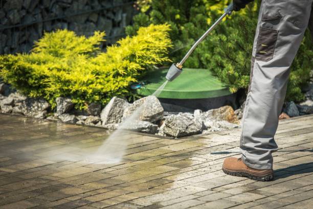 Best Solar Panel Cleaning  in Spring Hope, NC